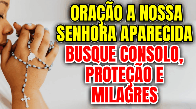 Oração a Nossa Senhora Aparecida – Busque Consolo, Proteção e Milagres🐚